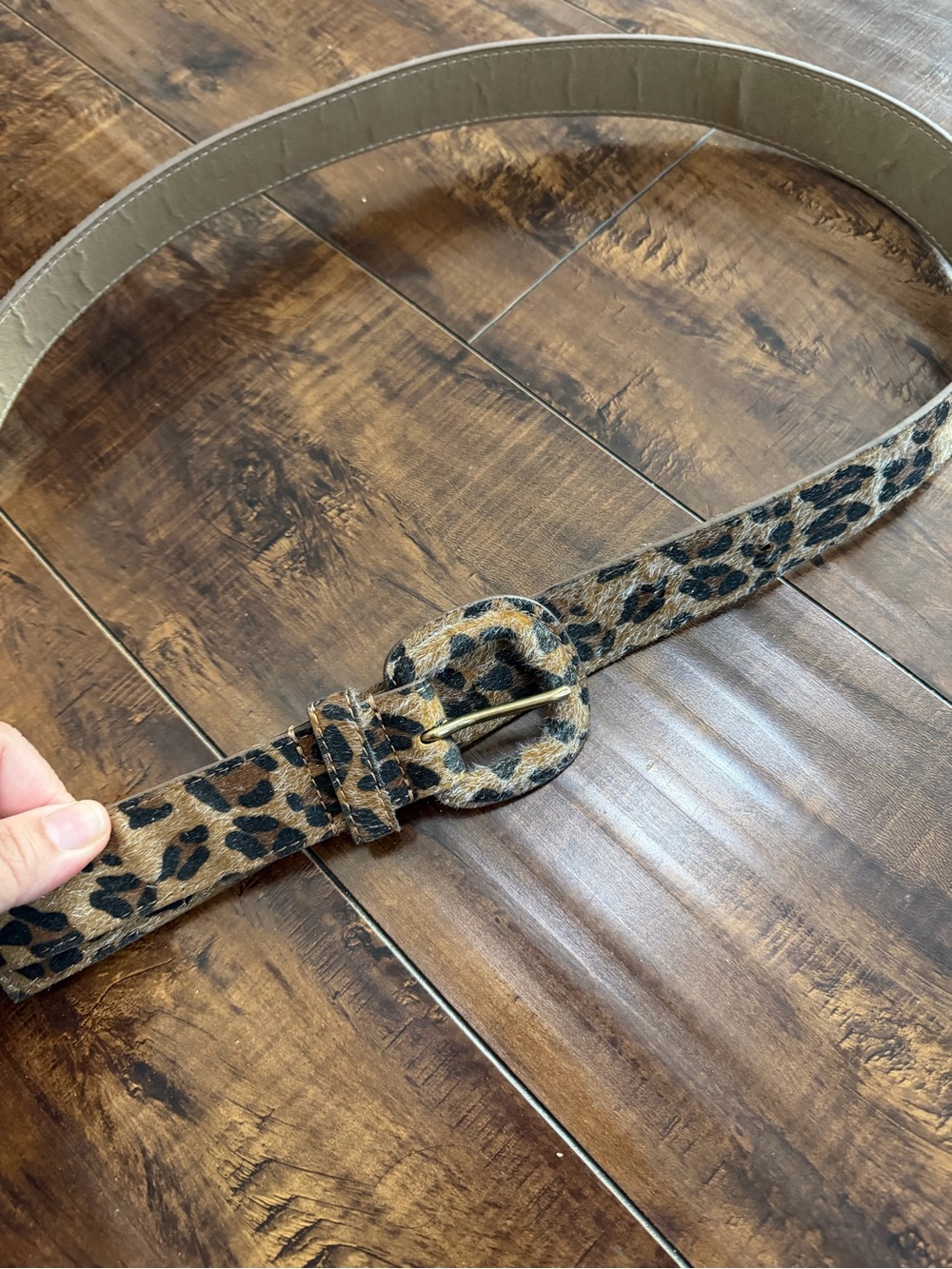 Plus Size ELOQUII Belt